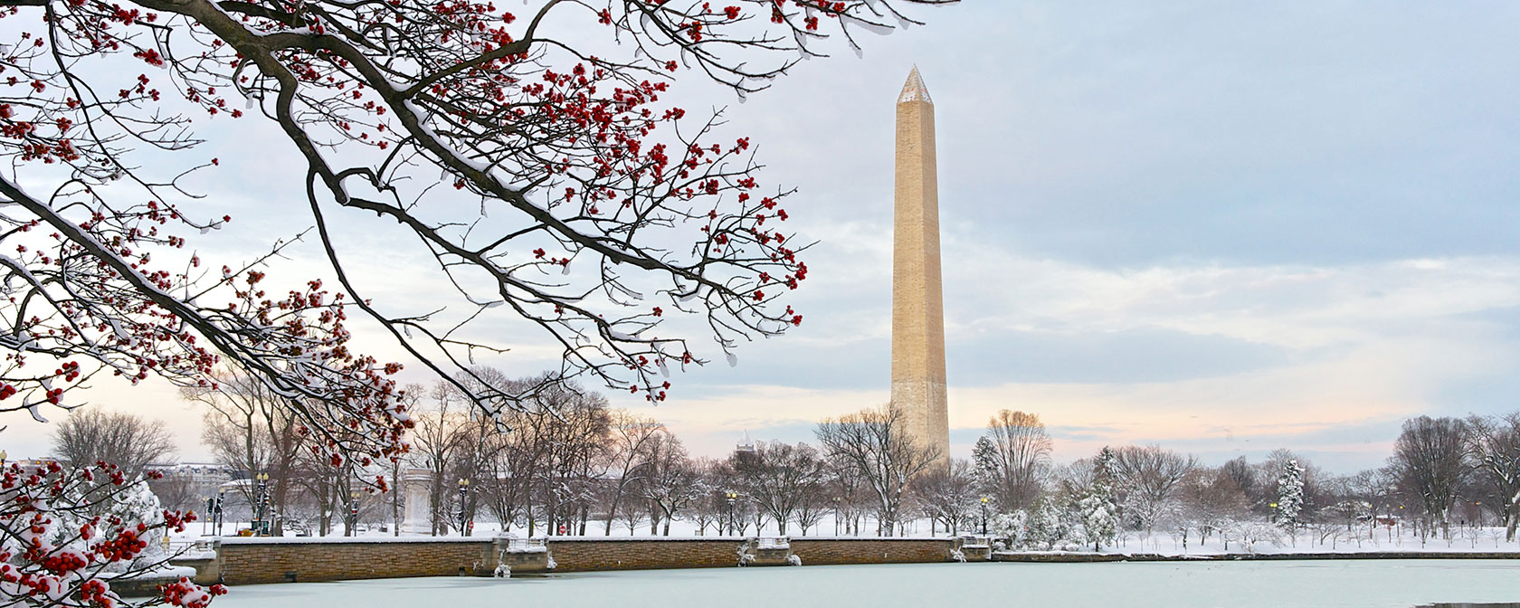 Washington Monument from the Tidal Basin in Winter